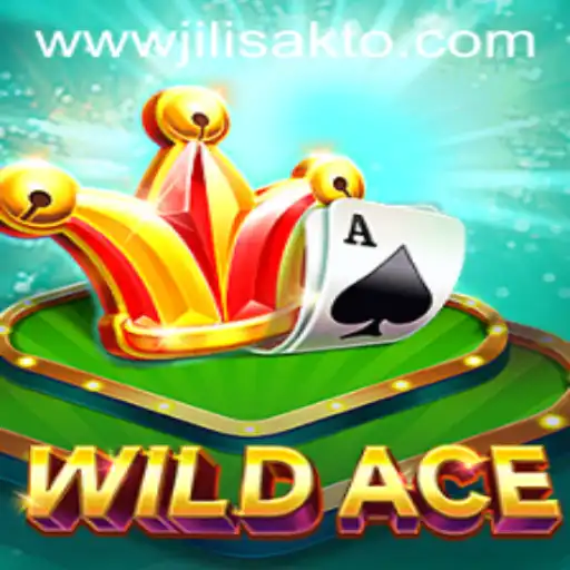 Exploring the Exciting Dynamics of WildAce